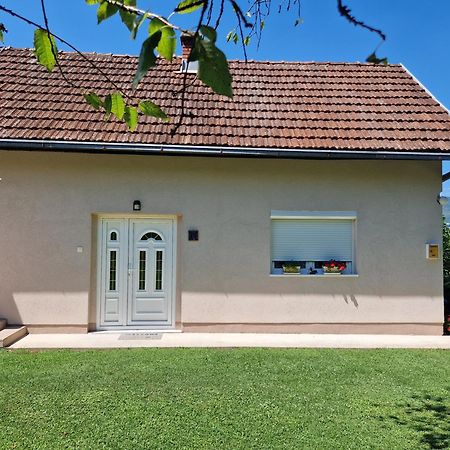 Villa Kuca Za Odmor Dm à Bajina Basta Extérieur photo