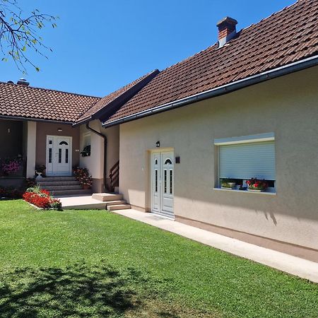 Villa Kuca Za Odmor Dm à Bajina Basta Extérieur photo
