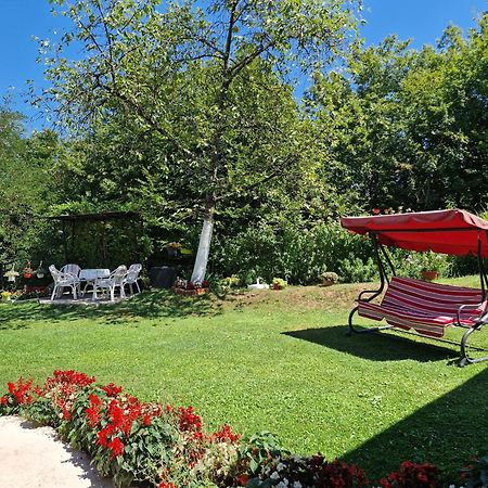 Villa Kuca Za Odmor Dm à Bajina Basta Extérieur photo
