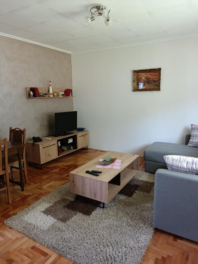 Villa Kuca Za Odmor Dm à Bajina Basta Extérieur photo