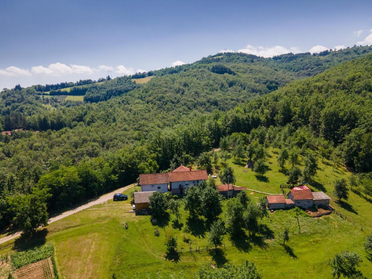 Villa Kuca Za Odmor Dm à Bajina Basta Extérieur photo