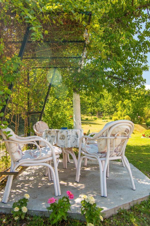 Villa Kuca Za Odmor Dm à Bajina Basta Extérieur photo